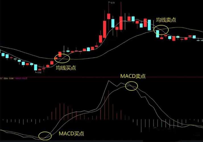 最赚钱的短线买点指标_交易周期_指标匹配