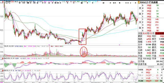 底部放量分析_低位放量涨停_下跌途中成交量分析