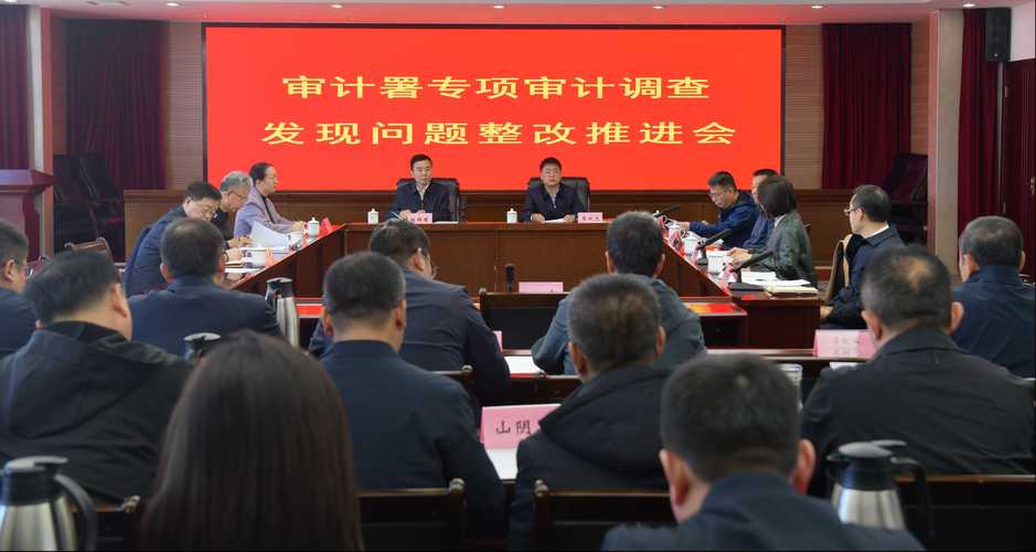 省生态环境厅2019年度预算执行审计_邓立佳经济责任审计_经济责任审计进场会