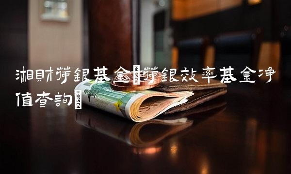 湘财荷银基金(荷银效率基金净值查询)