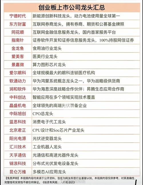 股票创业版是什么意思_创业板龙头股票知识点_创业型股票行业龙头