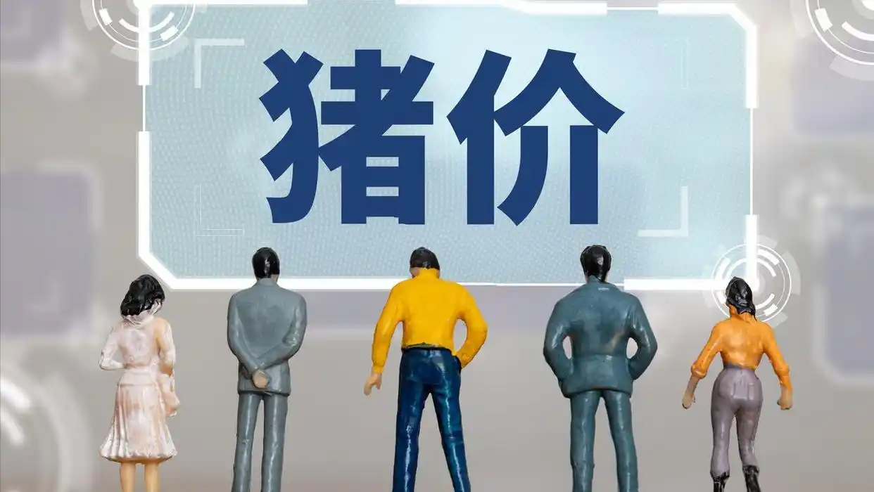 生猪市场跌价潮_2025年九月份生猪行情_猪价持续寻底分析