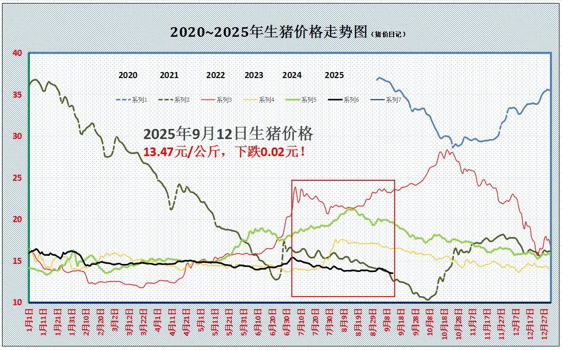 金九猪价下跌_猪肉消费旺季低迷_2025年九月份生猪行情