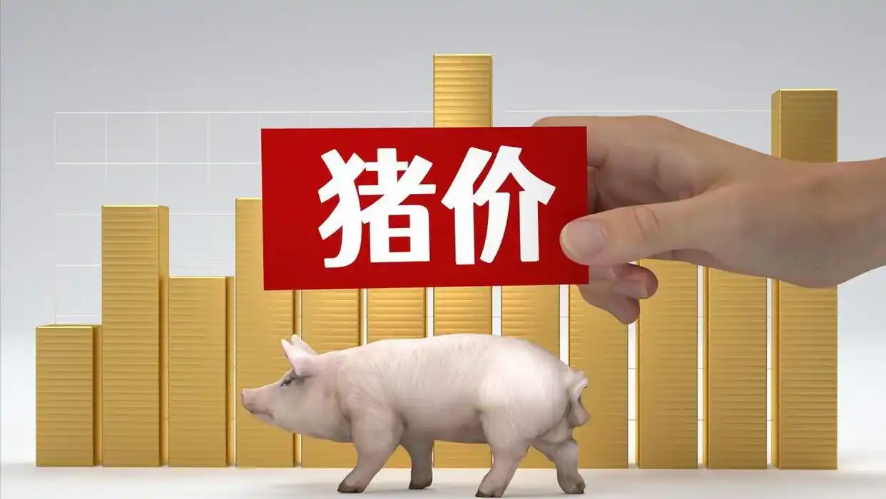 国内生猪市场价格走势_2025年九月份生猪行情_生猪供需关系分析