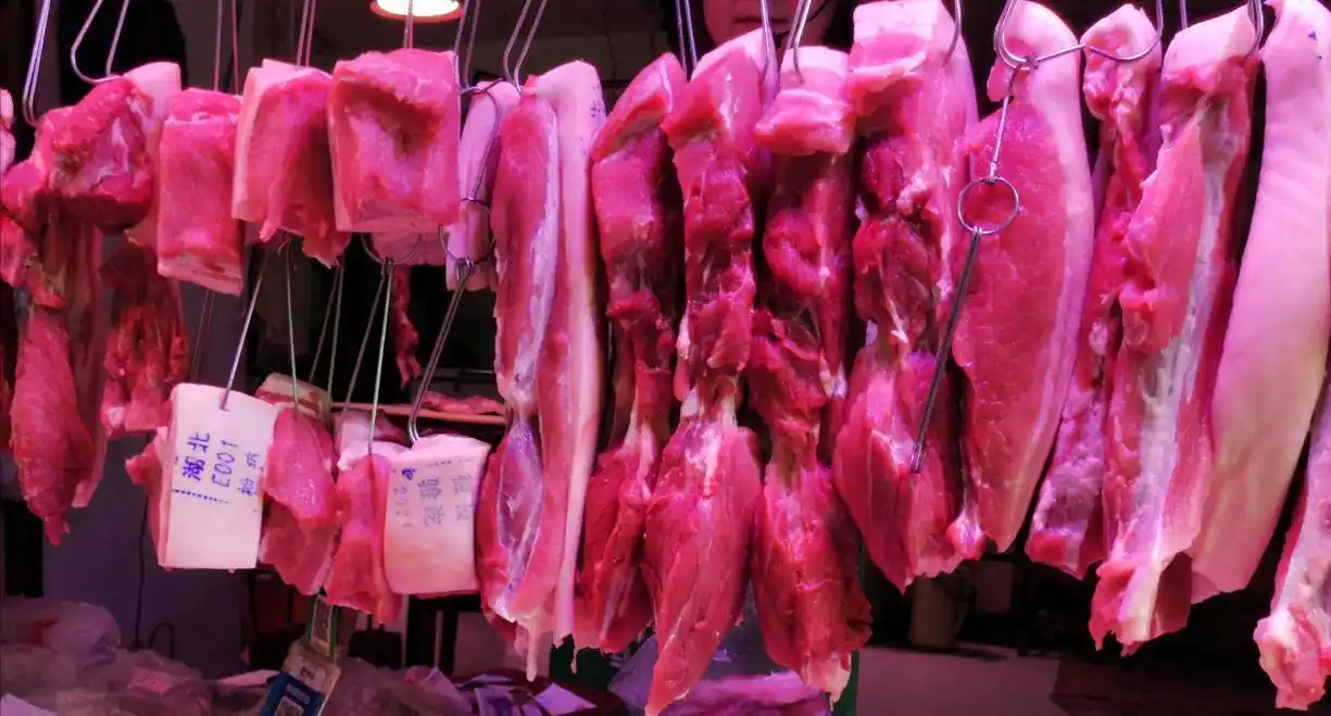 2025年九月份生猪行情_生猪市场供需博弈_猪价周期性旺季表现不及预期