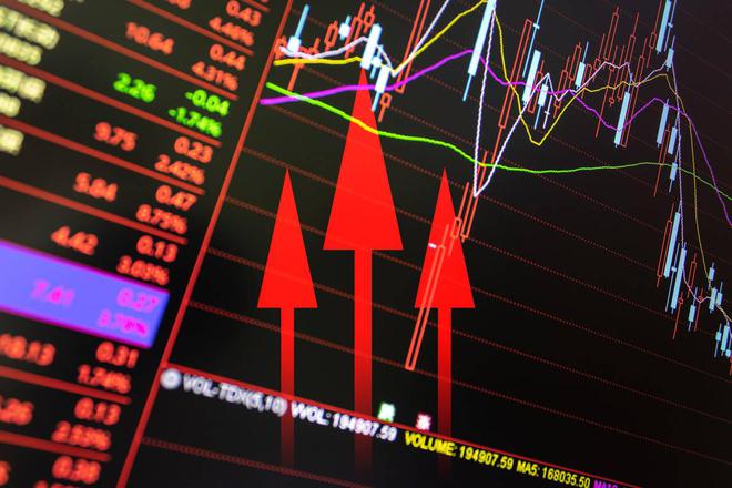 股票基础入门_股票入门知识_小白投资者股市指南