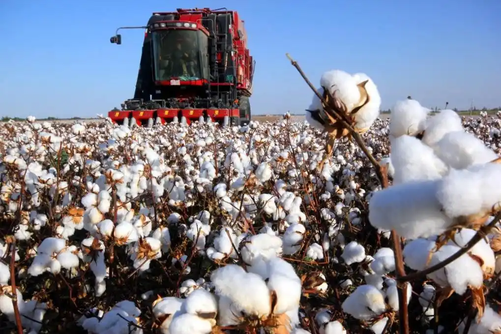 平安银行养老金账户服务_平安银行厦门分行_平安银行适老化服务