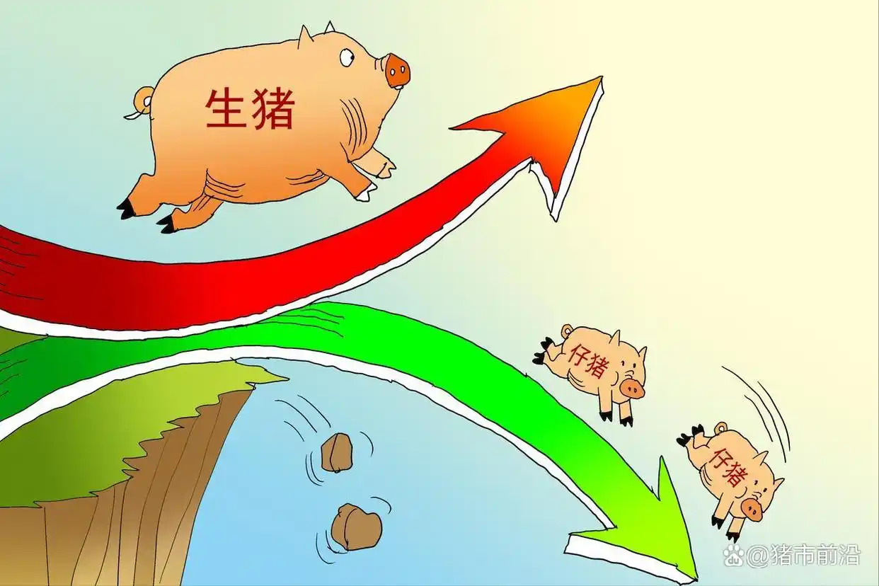 国内生猪市场行情分析_2025年九月份生猪行情_9月猪价走势预测