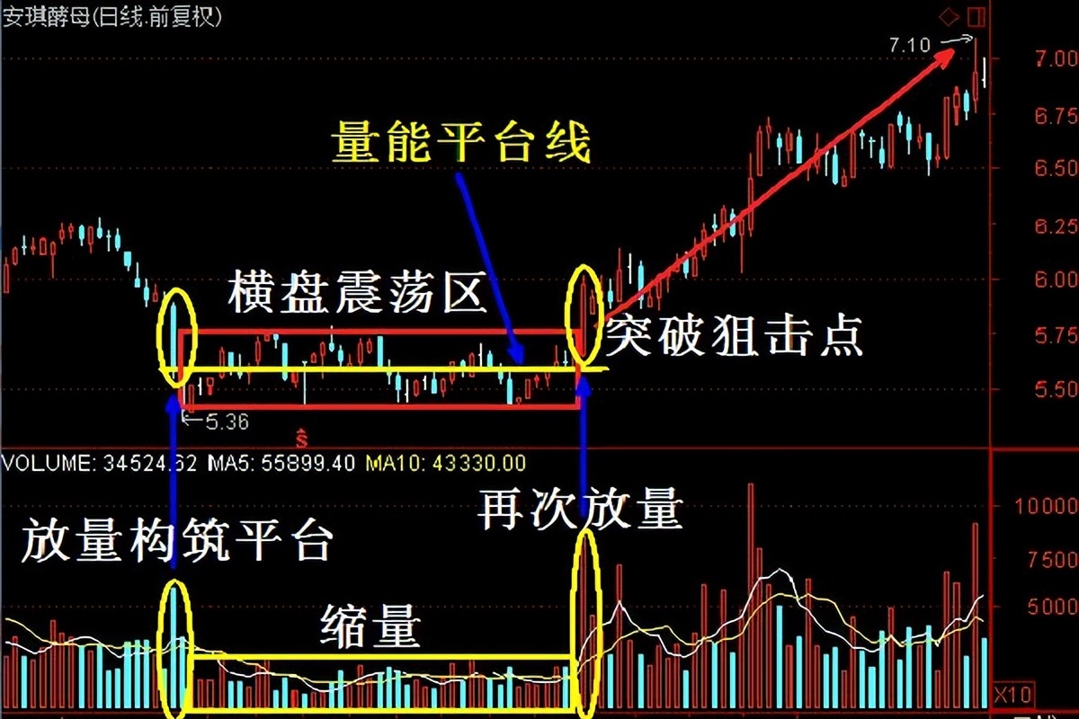股票分析图怎么恢复成交量_交易者成熟阶段_交易成功之路