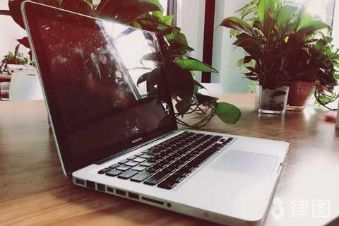 分公司是否可以投标