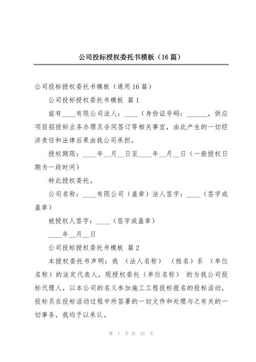 分公司诉讼当事人资格_分公司可以参与投标吗_分公司投标授权
