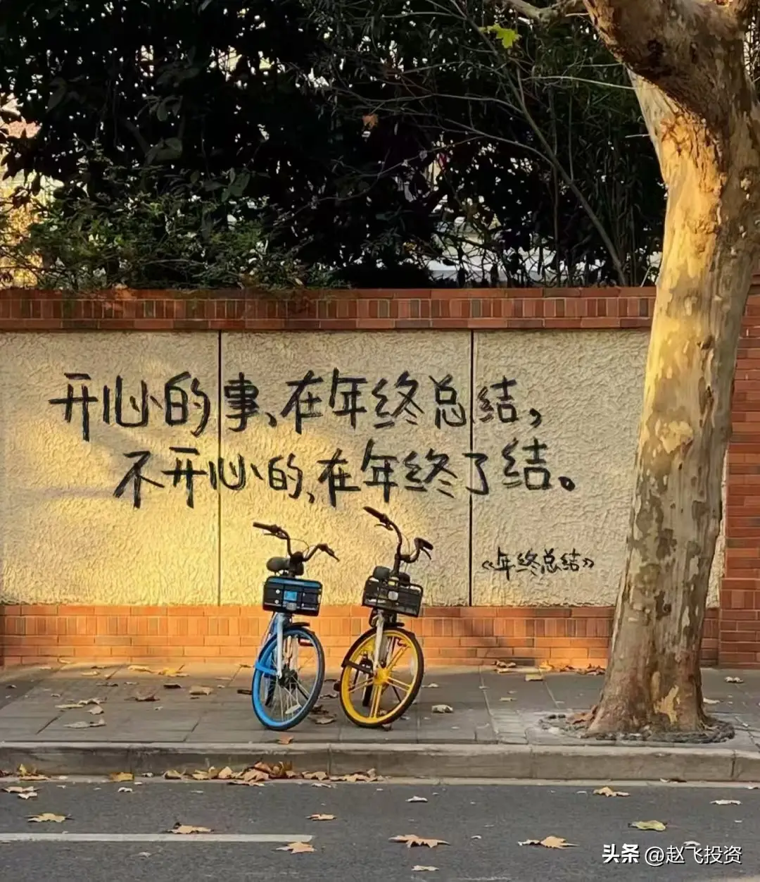 创业板涨幅首_年度涨幅王_2025年01月 深证a股涨幅排行榜