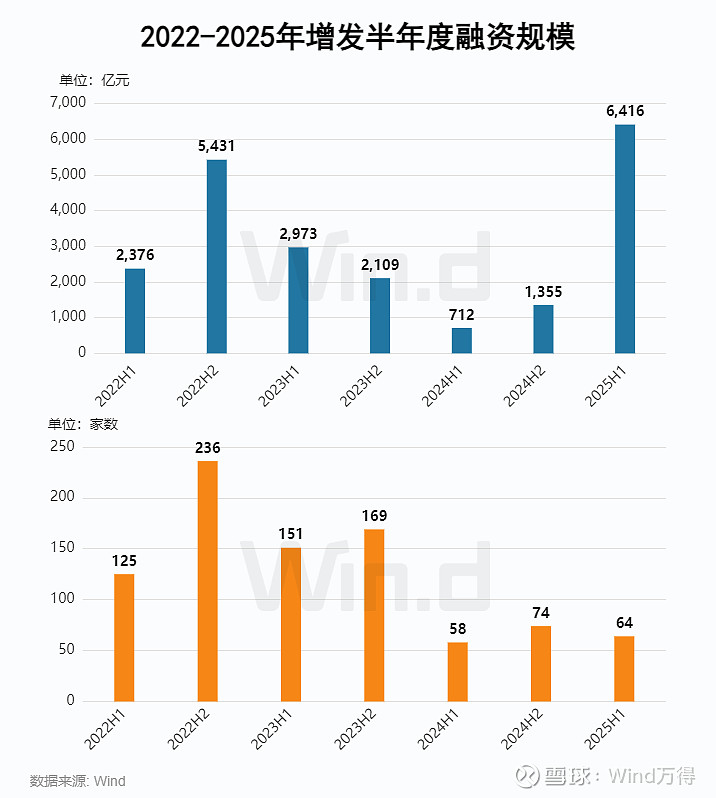 2025年01月 深证a股涨幅排行榜_IPO增发市场政策驱动增长_A股股权融资市场2025年上半年趋势