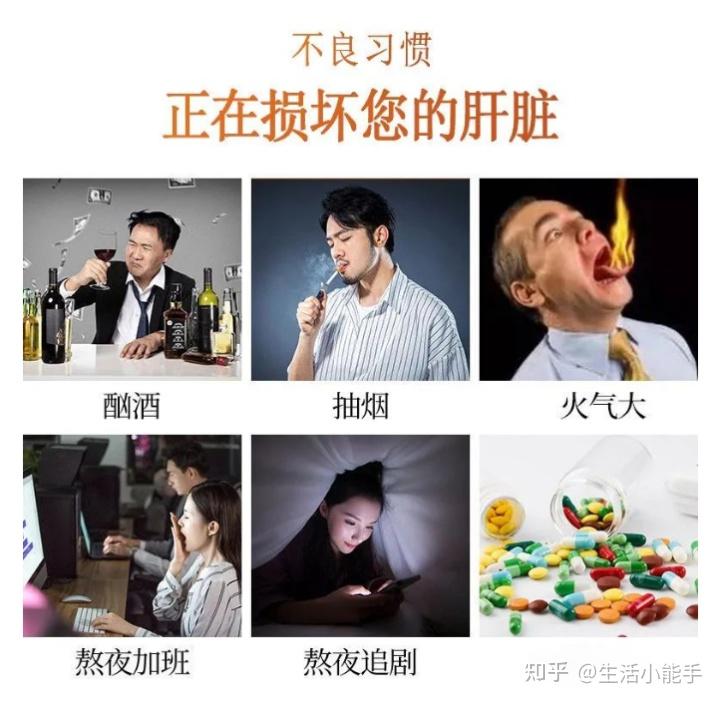 菊花决明子茶功效_菊花决明子茶做法_决明子2025年价格行情