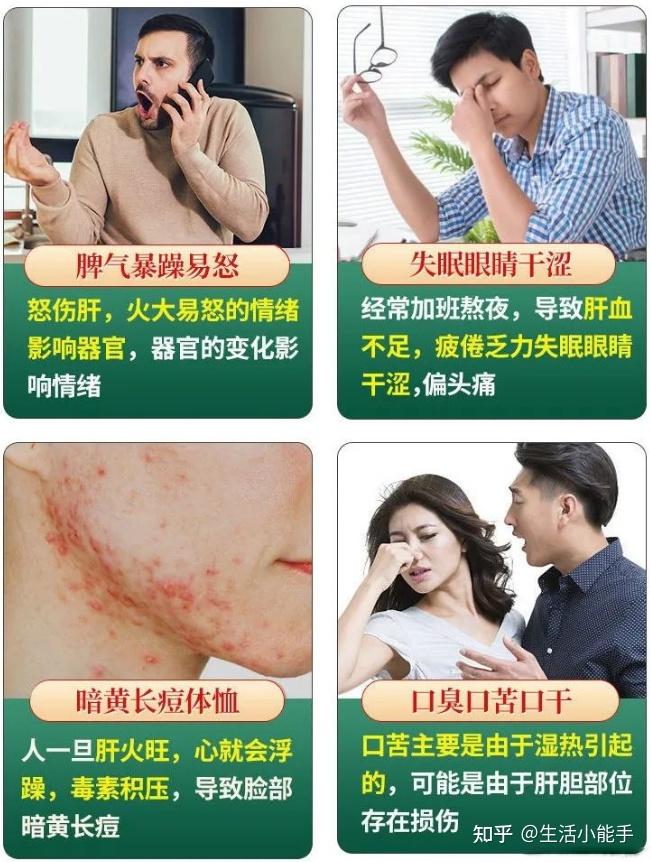 菊花决明子茶做法_菊花决明子茶功效_决明子2025年价格行情