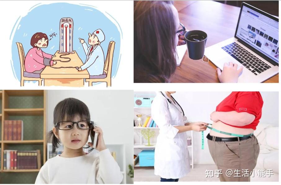 菊花决明子茶做法_决明子2025年价格行情_菊花决明子茶功效