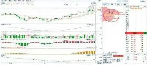 新股民入市投资基础知识_巴菲特谈股市算计_股票庄家操盘全揭秘