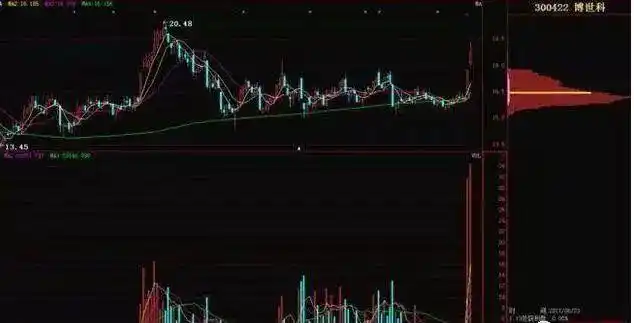 股票庄家操盘全揭秘_新股民入市投资基础知识_巴菲特谈股市算计