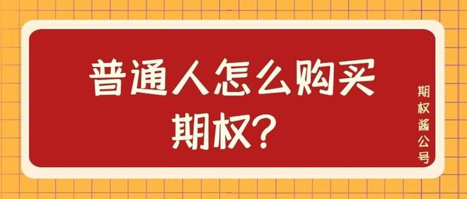 期权交易流程详解_期权交易策略_股票t 0双向交易