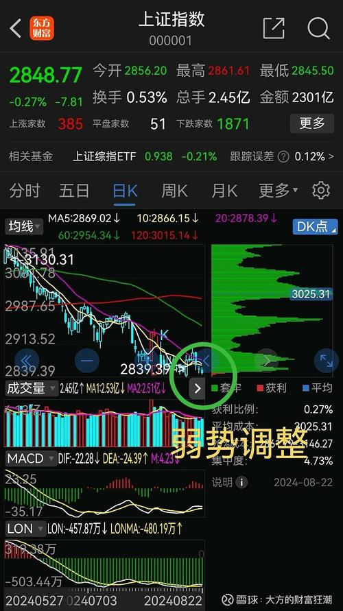 a股 火箭发射_A股市场震荡上扬_科创50指数冲击1000点