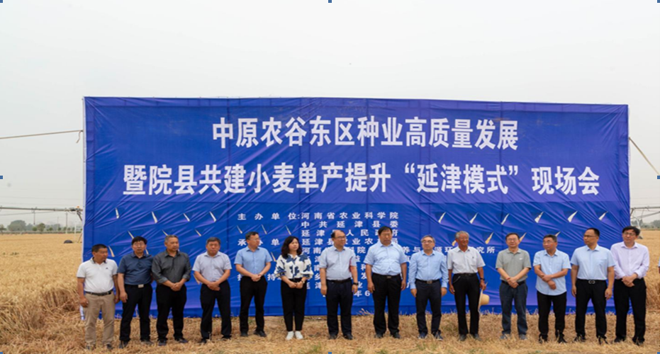 延津模式小麦单产提升_中原农谷东区种业高质量发展_延津模式——强麦期货助推小麦经济
