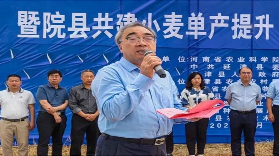 延津模式小麦单产提升_延津模式——强麦期货助推小麦经济_中原农谷东区种业高质量发展