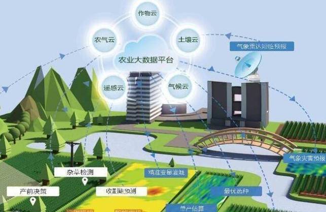 延津模式——强麦期货助推小麦经济_延津县小麦产业数字化转型_5G智慧农业管理系统