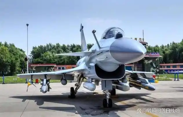 歼10C与歼10D对比_歼10歼15战斗机股票是那支_歼10系列战机发展史