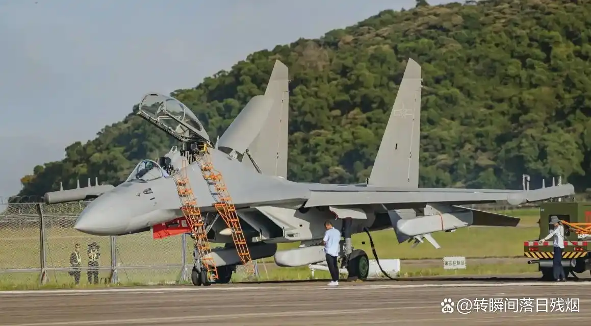 歼10C与歼10D对比_歼10歼15战斗机股票是那支_歼10系列战机发展史