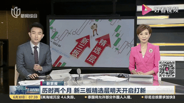 怎样打新股票流程_新三板精选层打新规则_新三板首批打新