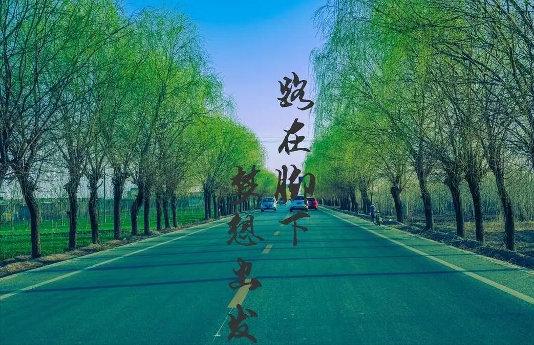 一位良心发现的股市操盘手的忠告_炒股开窍悟道是什么感觉_认知决定财富