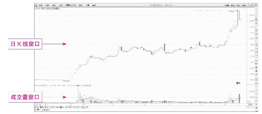 短线盘口术语_股票代码前加xd是什么意思_短线炒股基本知识