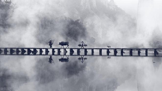  炒股亏损原因分析 _股票t十0操作技巧_