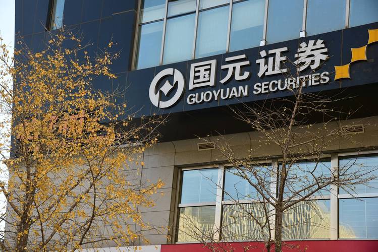 股票国元证券_国元证券2025年中报业绩解读_国元证券000728资金流向分析