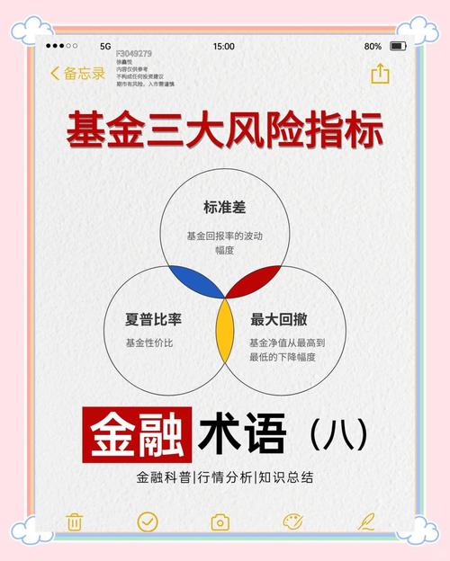 分级基金B份额杠杆水平分析_分级b基金交易条件_分级基金B份额投资价值评估