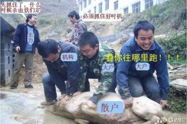 关于a股的疯言疯语_2022年A股市场分析_大A股民惨烈经历