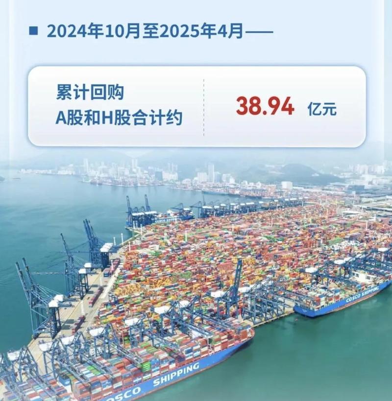 中远海控集装箱航运业务分析_波罗的海干散货指数 股票_中远海运控股股份公司