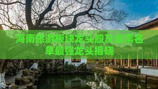 海南旅游板块龙头股及股票名单最强龙头揭晓