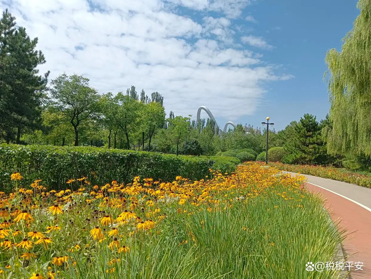 小微企业税收优惠_分公司改子公司有什么风险_分公司纳税方式