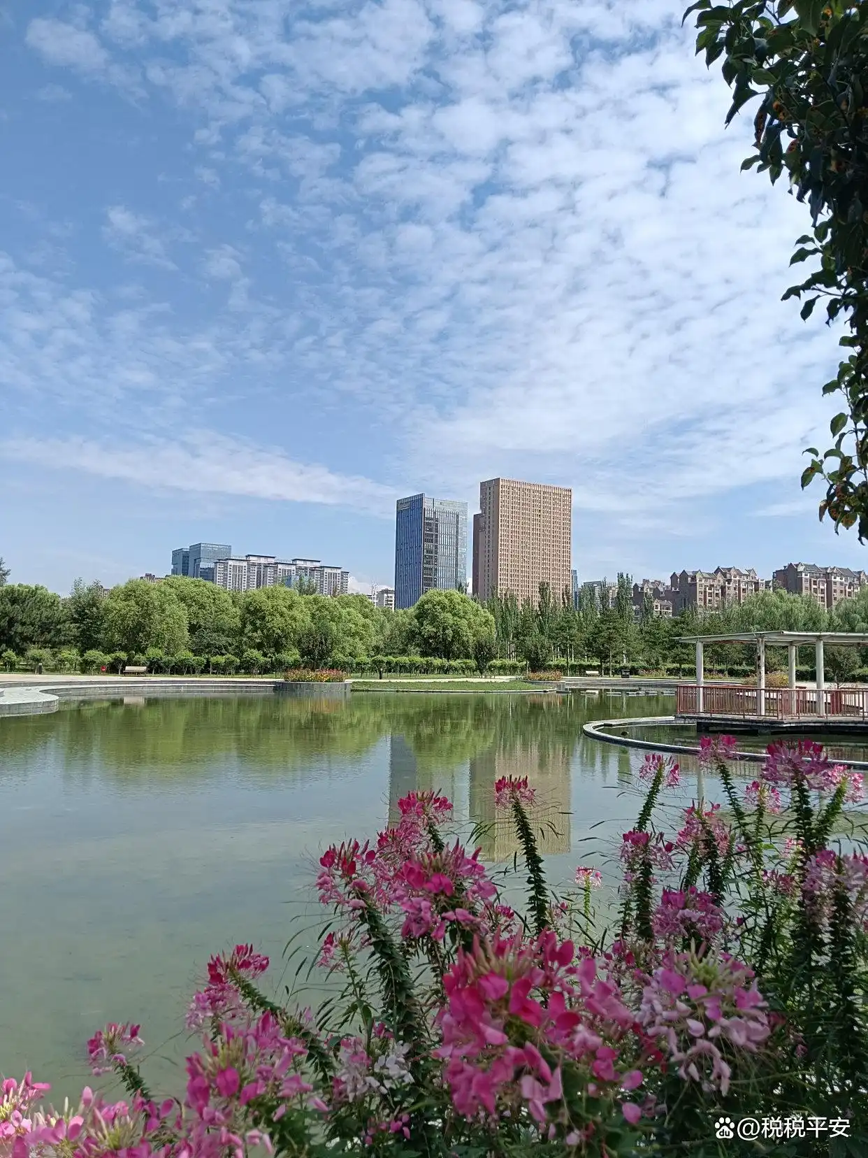 分公司纳税方式_分公司改子公司有什么风险_小微企业税收优惠