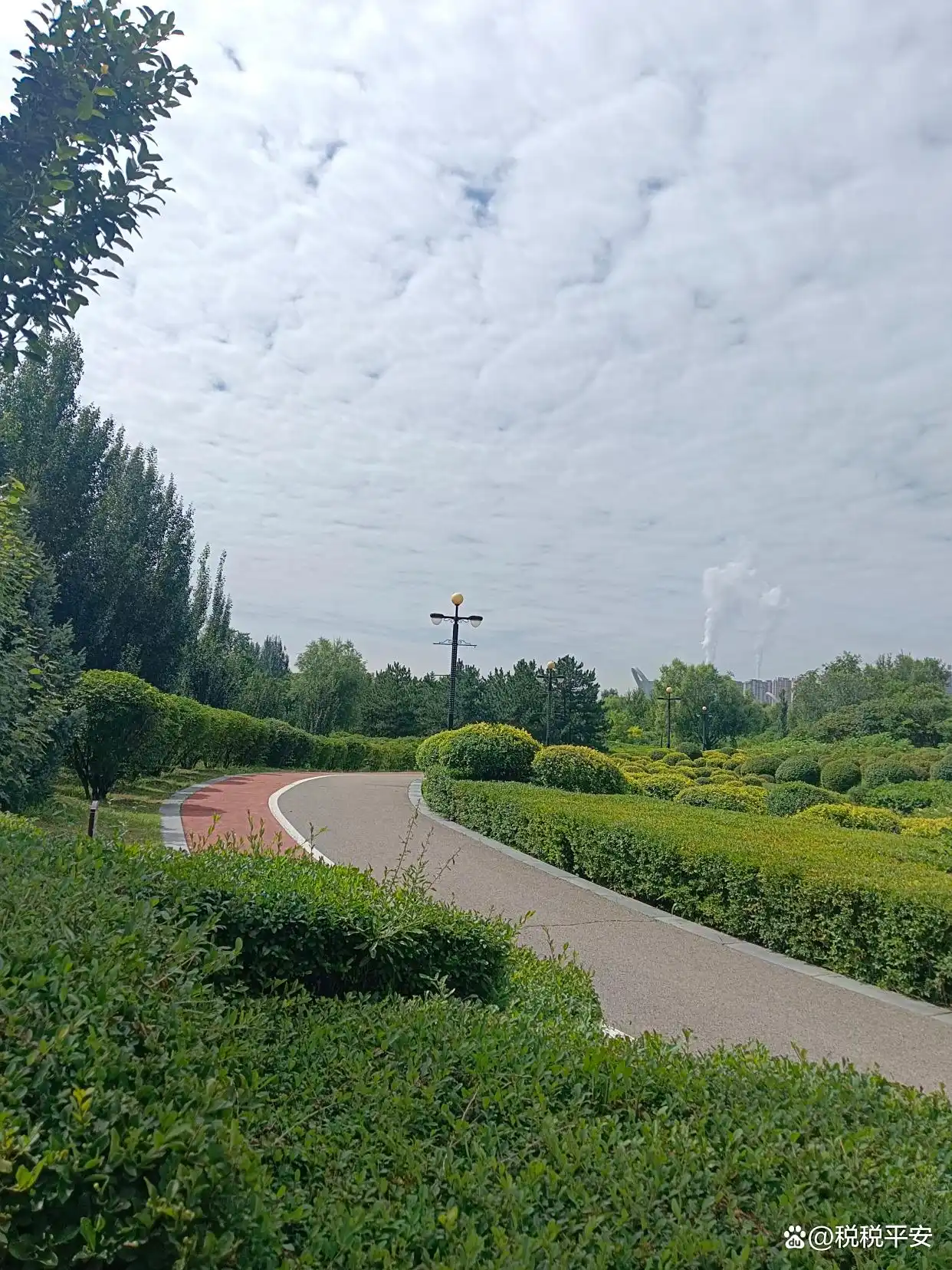 分公司改子公司有什么风险_小微企业税收优惠_分公司纳税方式