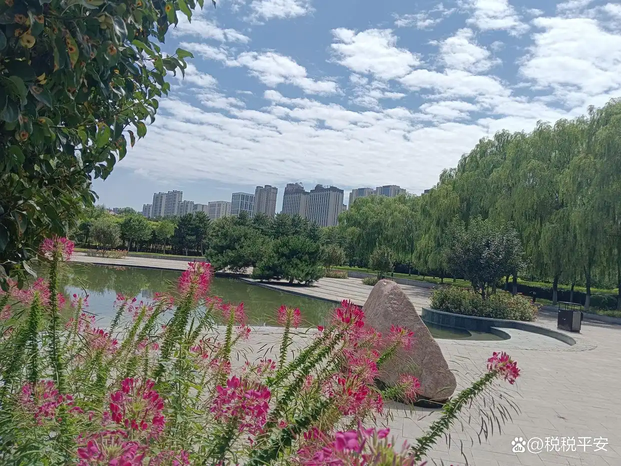 分公司纳税方式_小微企业税收优惠_分公司改子公司有什么风险