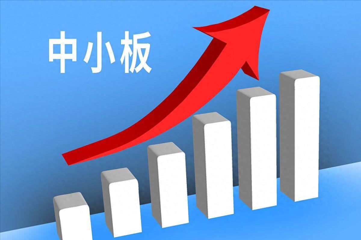 中国股票市场交易规则_什么叫大盘股和小盘股_A股股票代码含义