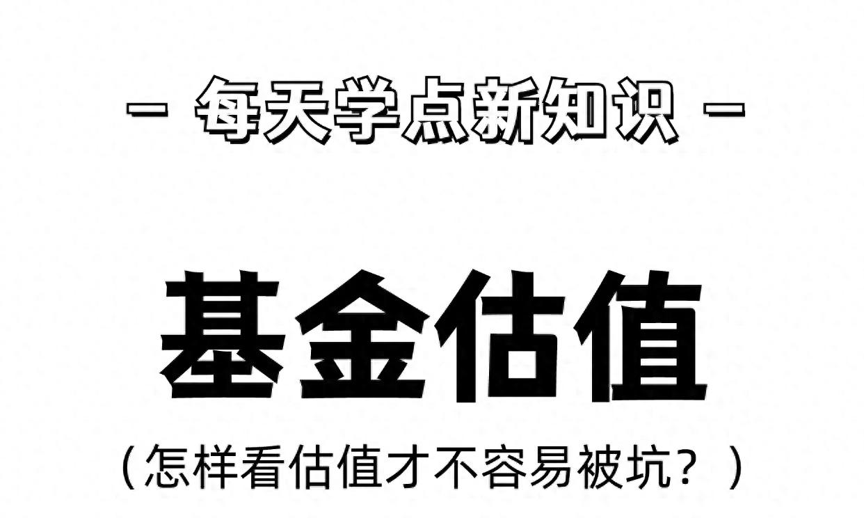 怎么看炒股软件_基金实时估值查询_基金估值使用技巧