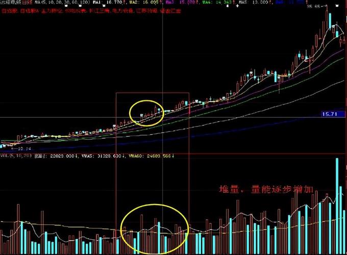 A股散户长期亏损率超80%_炒股十年经验感悟_怎么看炒股软件