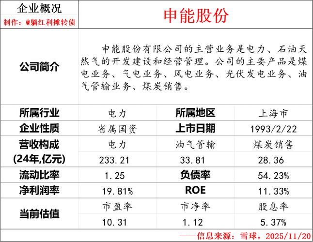申能股份筹码分布分析_申能股份主力资金分析_申能股份有限公司证券投资分析报告