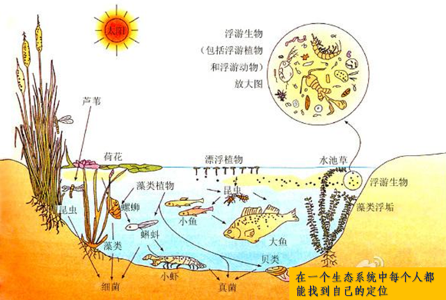 期货市场散户亏损原因_小猴子下山投资启示_股票亏损率