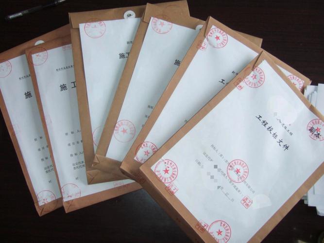 资质业绩闭环审查要点_2026投标政策红利标书编制细节核查_招标废标的情况有哪些