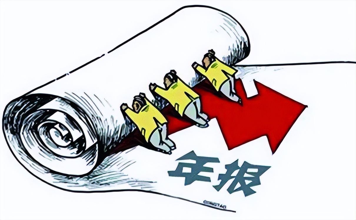 企业年报审计资产负债表内容_税务年报是什么意思_企业年报审计损益表审查要点