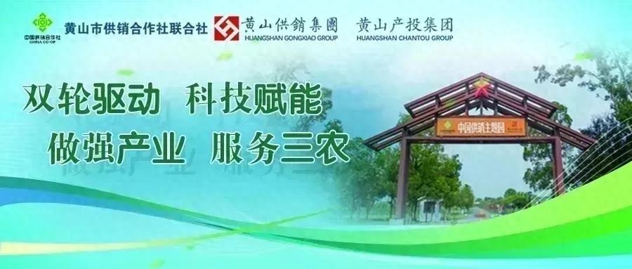 税务年报是什么意思_黄山市经营主体2025年度年报公示_企业信息公示暂行条例年报填报